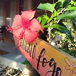 4 Elementos Guest House